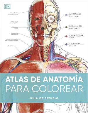 ATLAS DE ANATOMÍA PARA COLOREAR (GUIA DE ESTUDIO)