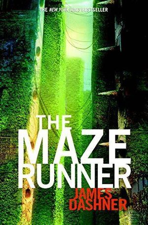 THE MAZE RUNNER (FILM)