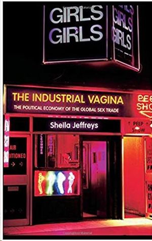 THE INDUSTRIAL VAGINA