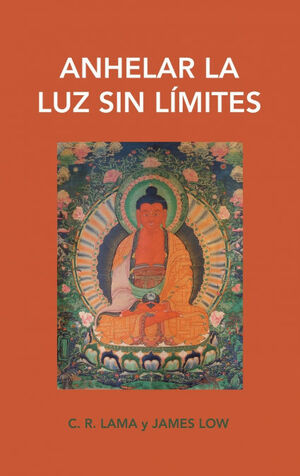 ANHELAR LA LUZ SIN LÍMITES