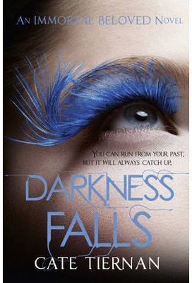 DARKNESS FALLS