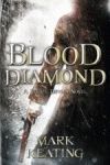 BLOOD DIAMOND A PIRATE DEVLIN NOVEL