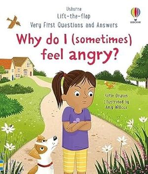 WHY DO I  SOMETIMES FEEL ANGRY?