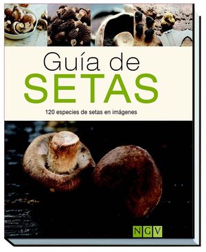 GUÍA DE SETAS