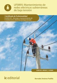 MANTENIMIENTO DE REDES ELÉCTRICAS SUBTERRÁNEAS DE BAJA TENSIÓN. ELEE0109 - MONTA