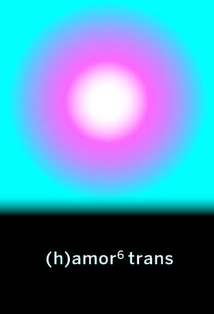 H)AMOR 6 TRANS
