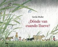 DÓNDE VAN CUANDO LLUEVE ?