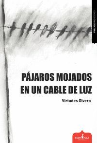 PÁJAROS MOJADOS EN UN CABLE DE LUZ