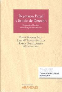 REPRESIÓN PENAL Y ESTADO DE DERECHO