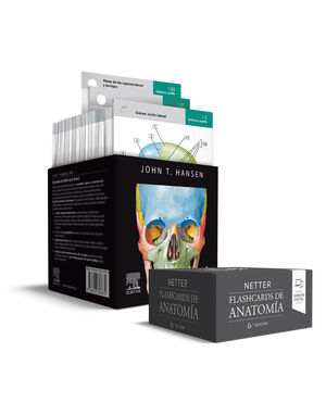 NETTER. FLASHCARDS DE ANATOMÍA (CAJA) 6ªED.