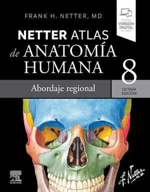 NETTER. ATLAS DE ANATOMÍA HUMANA. ABORDAJE REGIONAL 8ªED.
