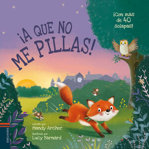 A QUE NO ME PILLAS (CON SOLAPAS)