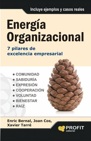 ENERGÍA ORGANIZACIONAL