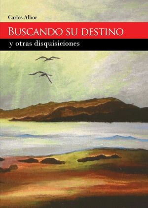 BUSCANDO SU DESTINO Y OTRAS DISQUISICIONES