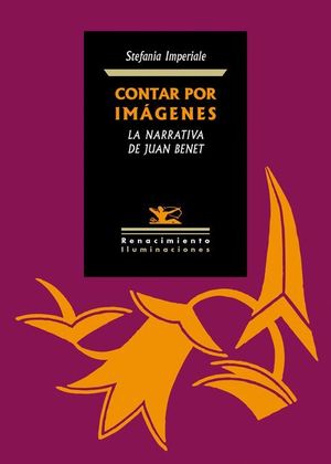 CONTAR POR IMAGENES