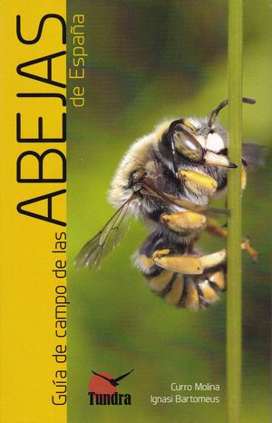 GUIA DE CAMPO DE LAS ABEJAS DE ESPAÑA