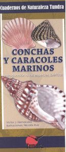 CONCHAS Y CARACOLES MARINOS