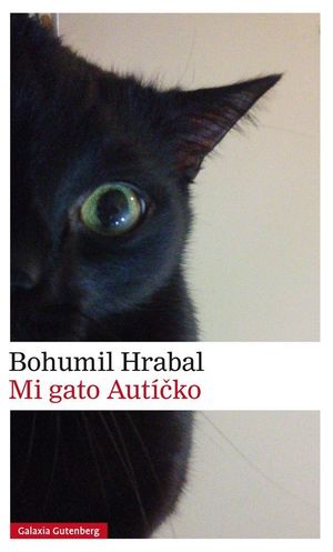 MI GATO AUTICKO