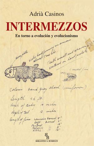 INTERMEZZOS