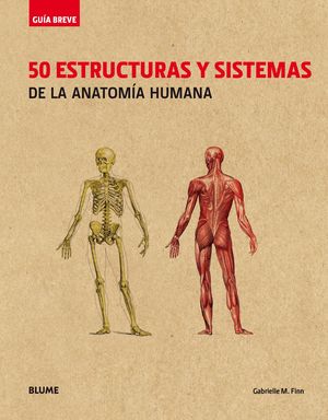 50 ESTRUCTURAS Y SISTEMAS DE LA ANATOMIA HUMANA