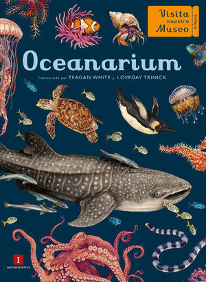 OCEANARIUM (VISITA NUESTRO MUSEO)