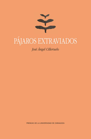 PÁJAROS EXTRAVIADOS