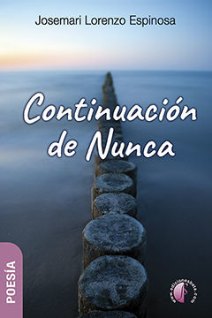 CONTINUACIÓN DE NUNCA