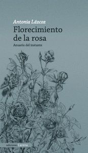 FLORECIMIENTO DE LA ROSA