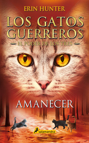 AMANECER (GATOS GUERREROS) PODER DE LOS TRES 6