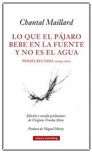 LO QUE EL PÁJARO BEBE EN LA FUENTE Y NO ES EL AGUA (POESIA REUNIDA 2004-2020)