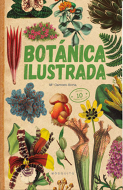 BOTANICA ILUSTRADA