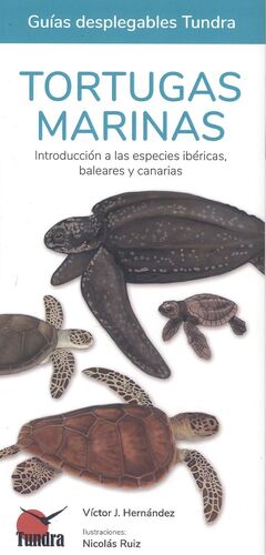 TORTUGAS MARINAS