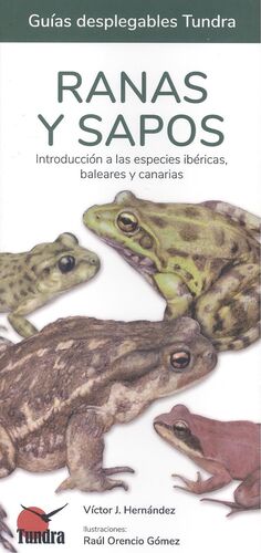 RANAS Y SAPOS - GUIAS DESPLEGABLES TUNDRA