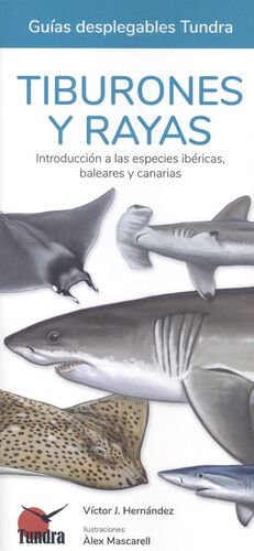 TIBURONES Y RAYAS (GUIAS DESPLEGABLES)