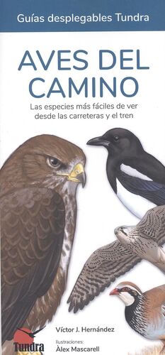 AVES DEL CAMINO (GUIAS DESPLEGABLES)