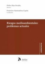 RIESGOS MEDIOAMBIENTALES: PROBLEMAS ACTUALES