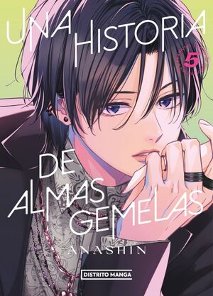 UNA HISTORIA DE ALMAS GEMELAS VOL.5