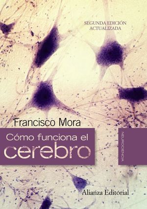 COMO FUNCIONA EL CEREBRO