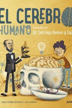 EL CEREBRO HUMANO