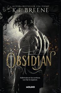 LOS FAE DE LAS SOMBRAS 1 - OBSIDIAN