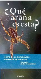 QUE ARAÑA ES ESTA ?