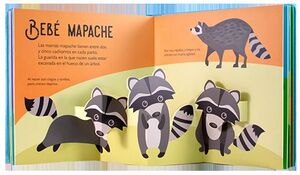 BEBES ANIMALES (10 POP-UPS)