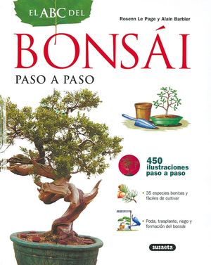 BONSAI PASO A PASO