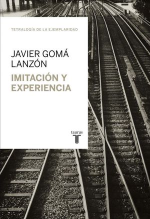 IMITACION Y EXPERIENCIA