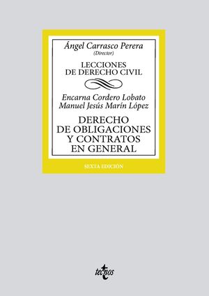 LECCIONES DERECHO CIVIL: DERECHO OBLIGACIONES Y CONTRATOS GENERAL (6ª ED. 2023)