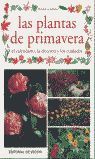 LAS PLANTAS DE PRIMAVERA