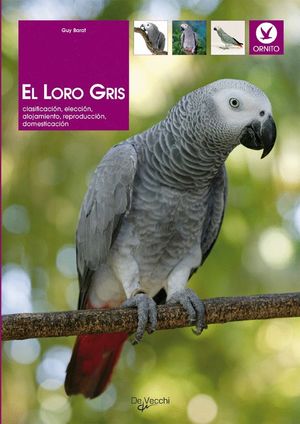 EL LORO GRIS