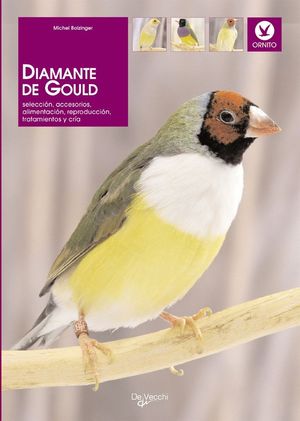 DIAMANTE DE GOULD