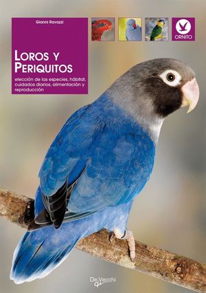 LOROS Y PERIQUITOS