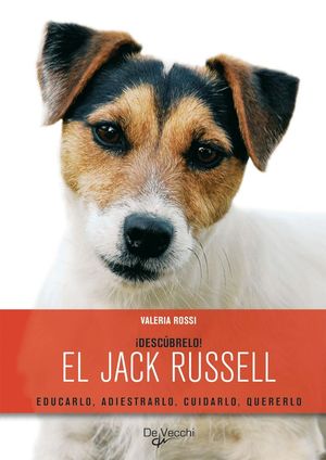 EL JACK RUSSELL ¡DESCUBRELO!